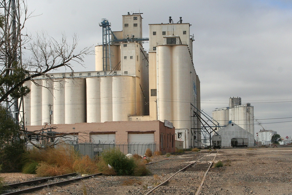 Grain plant